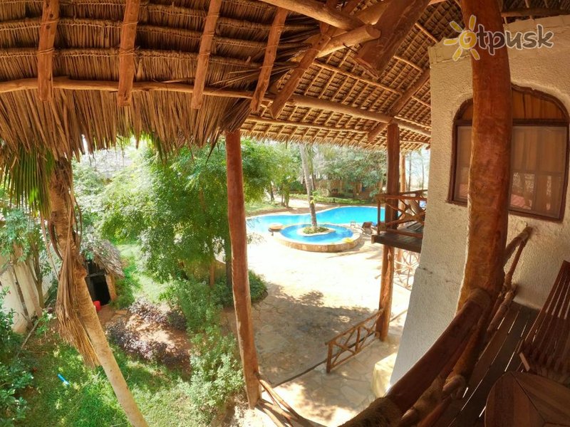 Фото отеля Villa Dida Resort 4* Пвани Мчангани Танзания прочее