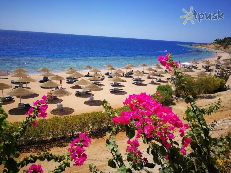 Фото отеля Domina Coral Bay Bellavista 5* Шарм эль Шейх Египет пляж