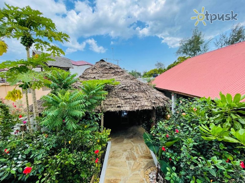 Фото отеля Max Hotel Nungwi 3* Нунгви Танзания экстерьер и бассейны