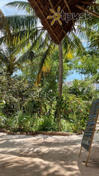 Фото отеля Atii Garden Bungalows 4* Нунгви Танзания прочее