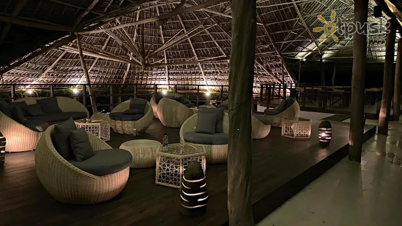 Фото отеля Blue Moon Resort 4* Джамбіані Танзанія бари та ресторани