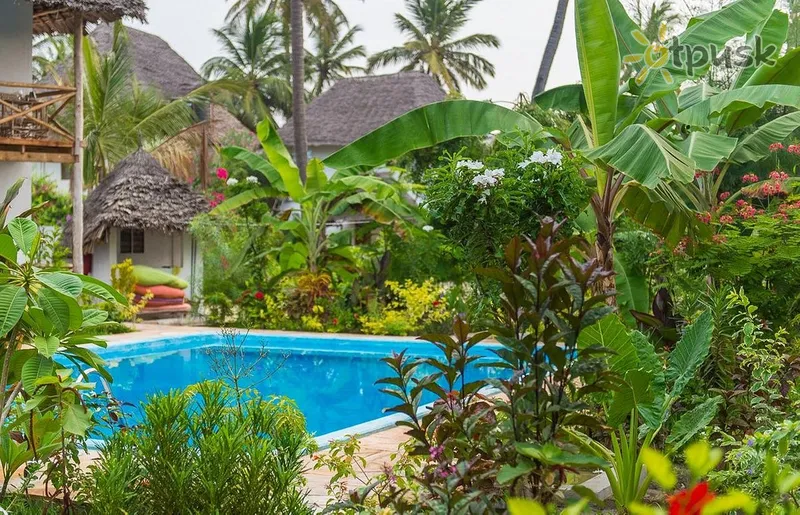 Фото отеля Miramont Retreat Zanzibar 3* Pwani Mchangani Tanzānija ārpuse un baseini