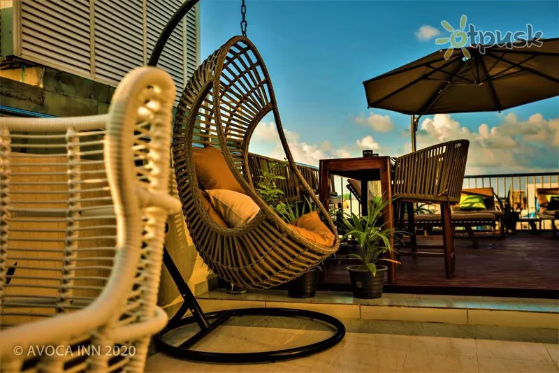 Фото отеля Avoca Inn 4* Šiaurės Malės atolas Maldyvai fojė ir interjeras