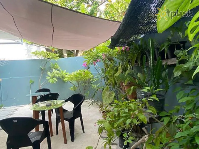 Фото отеля Kirulhiya Maldives 2* Південний Мале Атол Мальдіви бари та ресторани