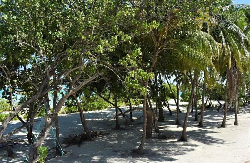 Фото отеля Beach House Dhiffushi 3* Šiaurės Malės atolas Maldyvai išorė ir baseinai