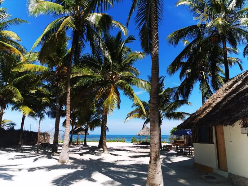 Фото отеля Bwejuu Beach Palm Villa 3* Bweju Tanzanija papludimys