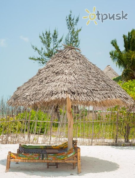 Фото отеля Bwejuu Beach Palm Villa 3* Бведжу Танзания экстерьер и бассейны