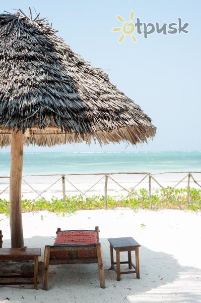 Фото отеля Bwejuu Beach Palm Villa 3* Бведжу Танзания пляж