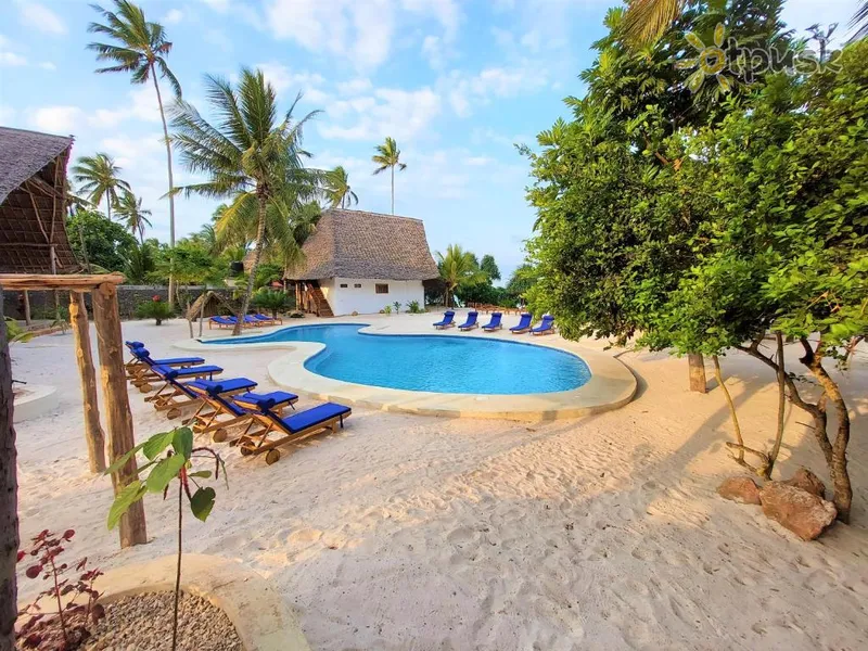 Фото отеля Marafiki Beach Hotel 4* Matemve Tanzānija ārpuse un baseini