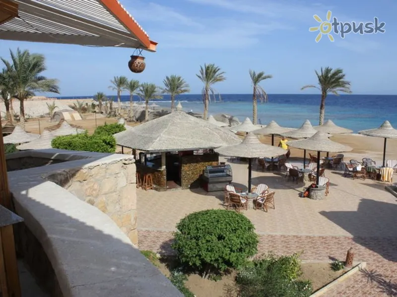 Фото отеля Coral Garden Resort & Dive Centre 2* Сафага Египет экстерьер и бассейны
