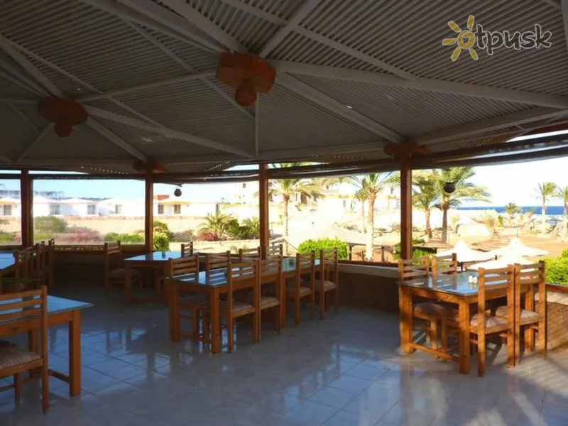Фото отеля Coral Garden Resort & Dive Centre 2* Сафага Египет бары и рестораны