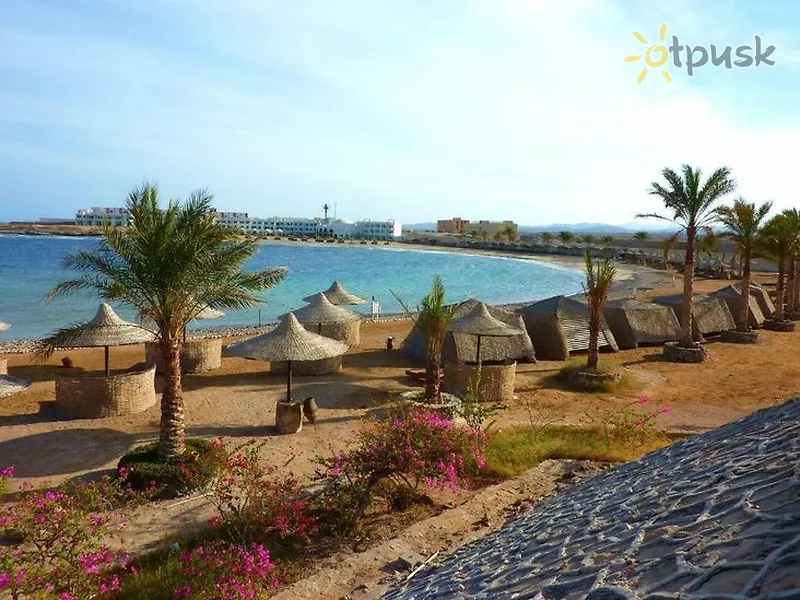 Фото отеля Coral Garden Resort & Dive Centre 2* Сафага Египет пляж