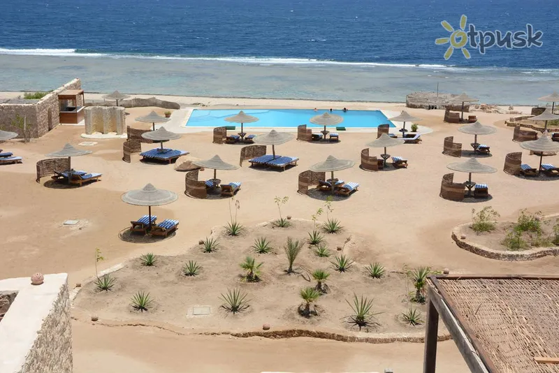 Фото отеля The Oasis Dive Resort 3* Марса Алам Египет пляж