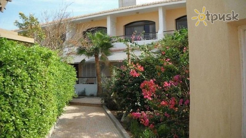 Фото отеля Sea Horse Hotel 3* Хургада Египет 