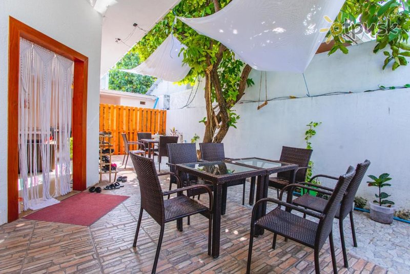 Фото отеля Alaika Maafushi 3* Ари (Алифу) Атолл Мальдивы прочее