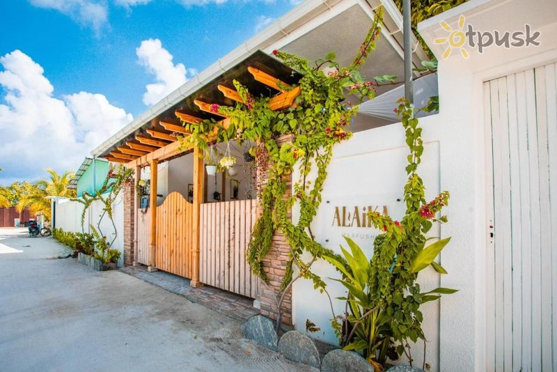 Фото отеля Alaika Maafushi 3* Ари (Алифу) Атолл Мальдивы экстерьер и бассейны