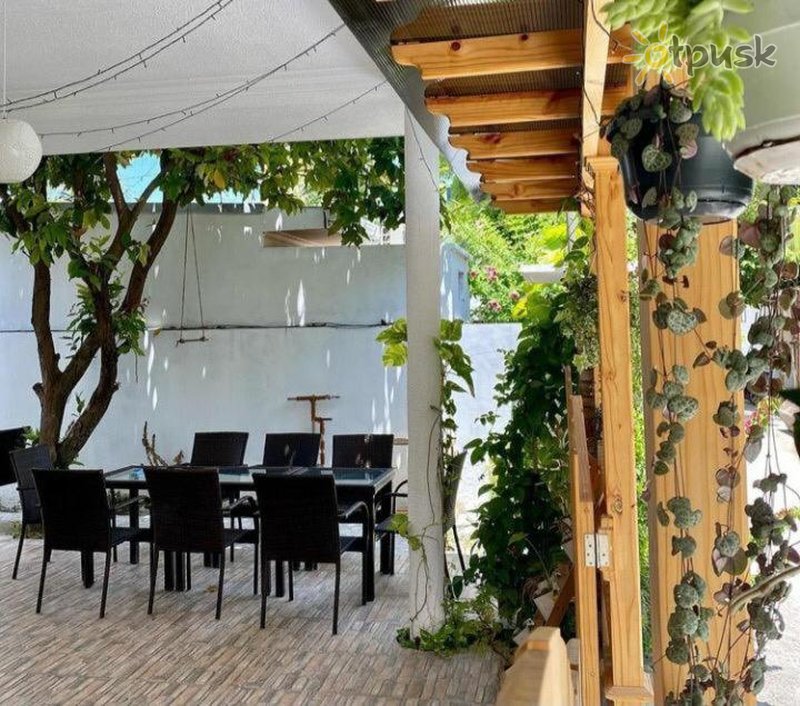Фото отеля Alaika Maafushi 3* Ари (Алифу) Атолл Мальдивы экстерьер и бассейны