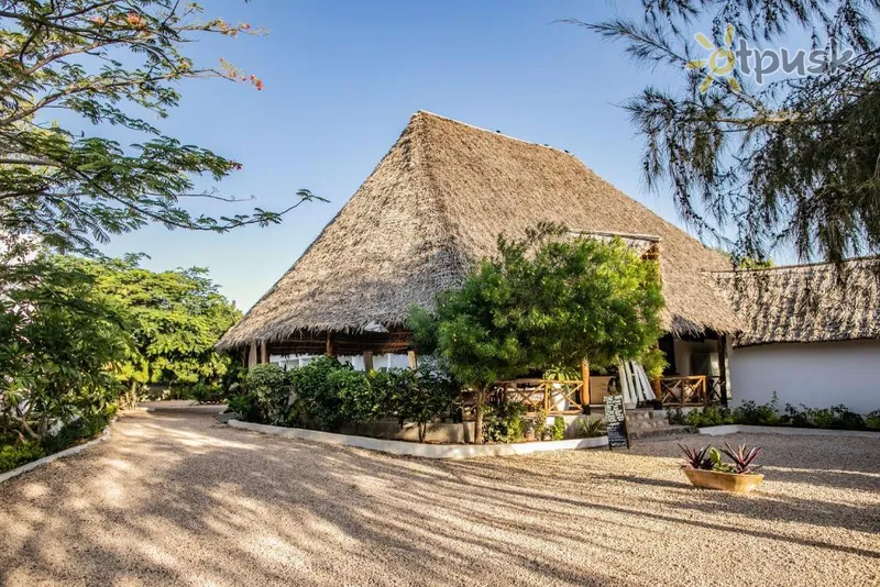 Фото отеля Kibanda Lodge 3* Nungwi Tanzanija išorė ir baseinai