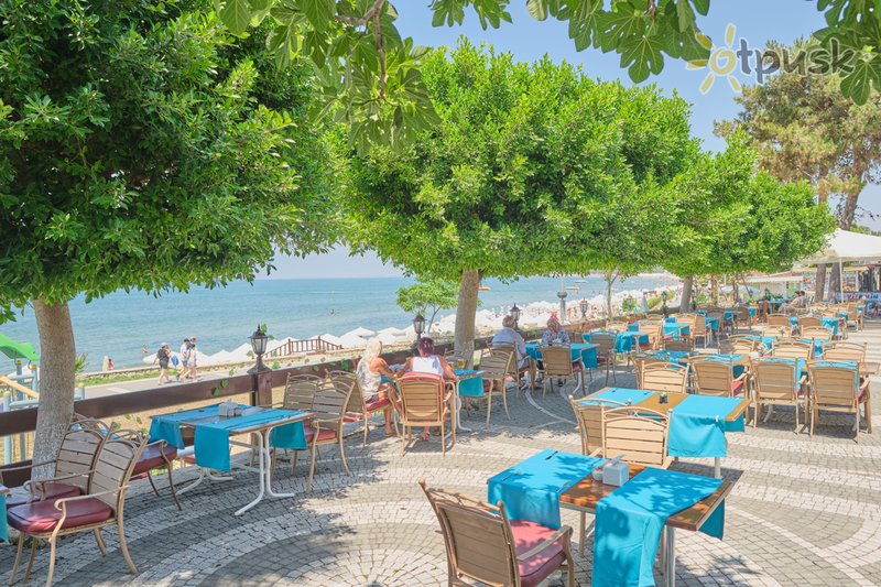 Фото отеля Clover Magic Nova Beach Hotel 3* Сиде Турция бары и рестораны