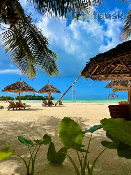 Фото отеля Karibu Beach Resort 4* Pongwe Tanzānija pludmale