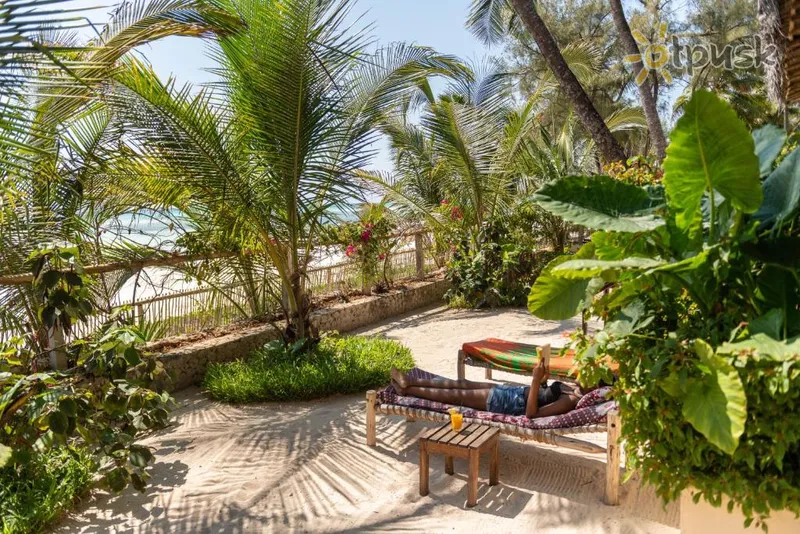 Фото отеля Hekaya Zanzibar 4* Pingue Tanzānija ārpuse un baseini