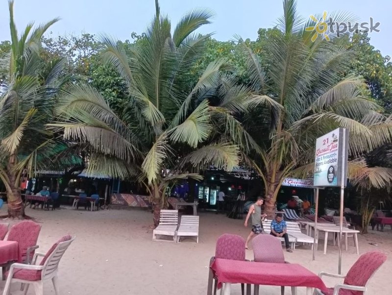 Фото отеля 21 Coconut Inn Arambol 2* Северный Гоа Индия экстерьер и бассейны