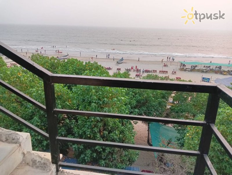 Фото отеля 21 Coconut Inn Arambol 2* Северный Гоа Индия экстерьер и бассейны