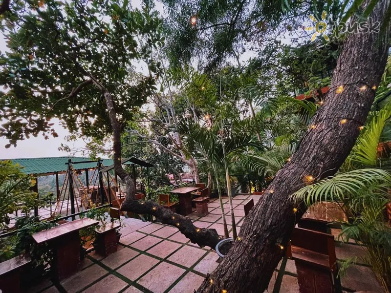Фото отеля Amazonika Boutique Resort 3* Северный Гоа Индия экстерьер и бассейны