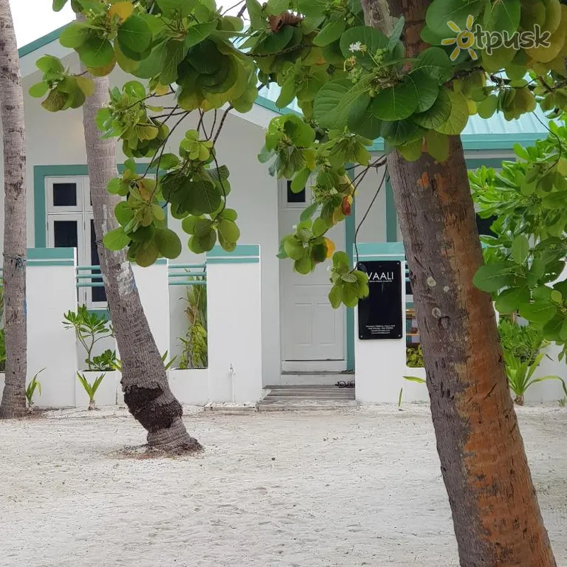 Фото отеля Vaali Beach & Dive Lodge 3* Вааву Атолл Мальдивы экстерьер и бассейны