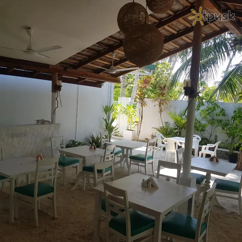 Фото отеля Vaali Beach & Dive Lodge 3* Vāvu atols Maldīvija bāri un restorāni
