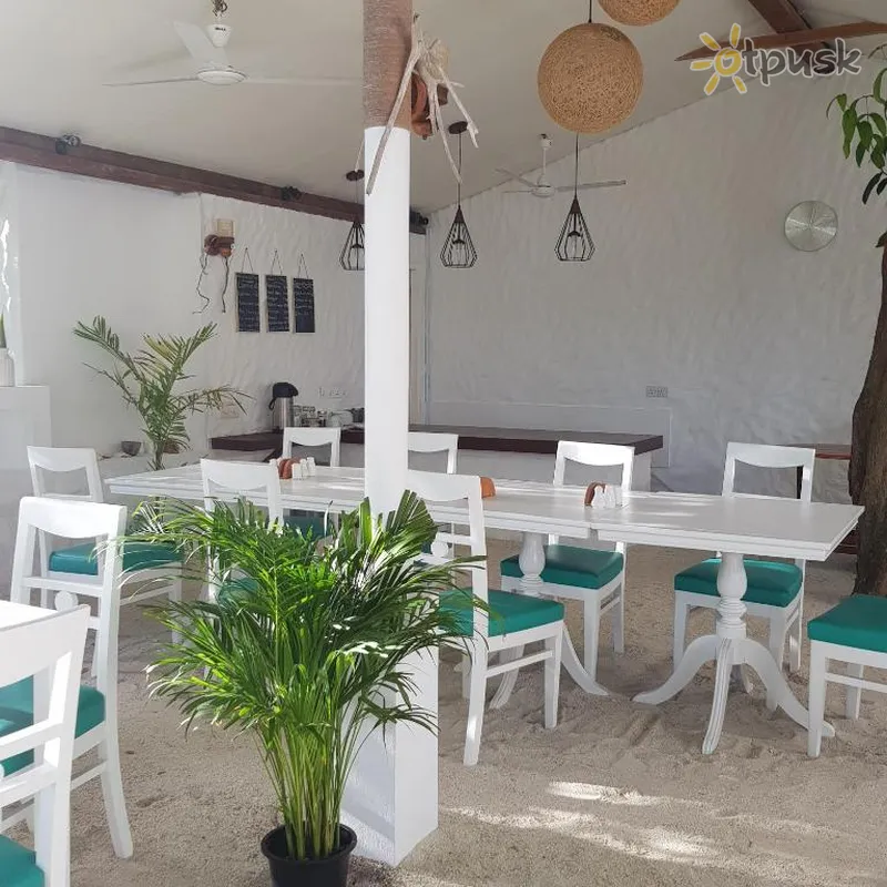 Фото отеля Vaali Beach & Dive Lodge 3* Вааву Атолл Мальдивы бары и рестораны