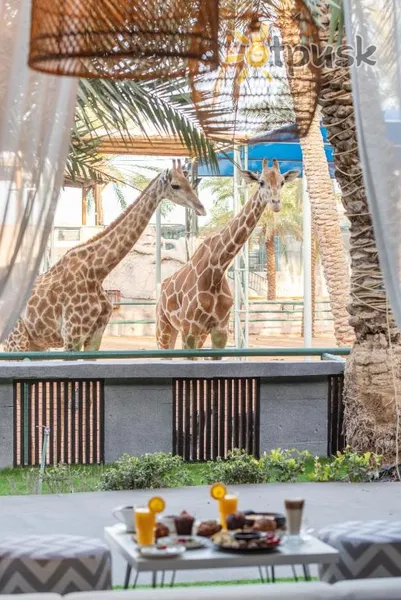 Фото отеля Emirates Park Resort 4* Абу Дабі ОАЕ інше