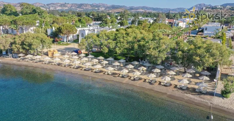 Фото отеля Regia Mare Beach Hotel Bodrum 4* Бодрум Туреччина пляж
