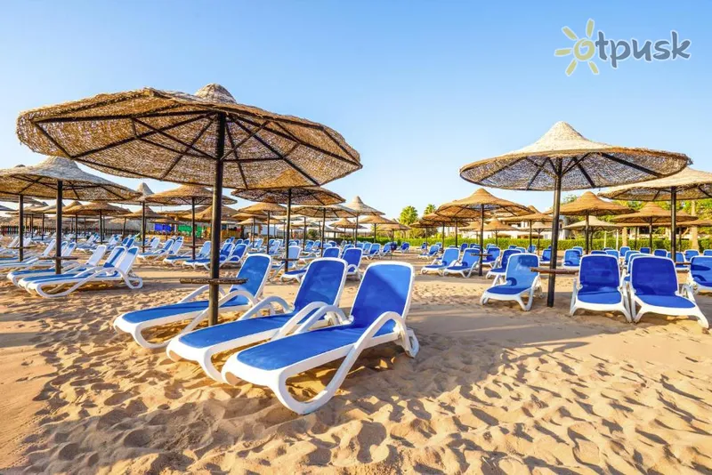 Фото отеля Ivy Cyrene Sharm Resort 4* Шарм эль Шейх Египет пляж