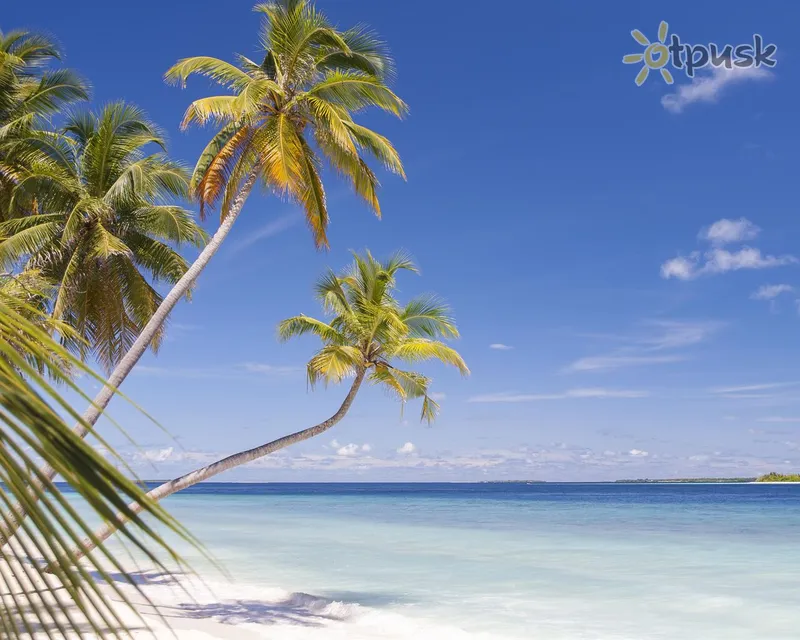 Фото отеля Dhonfulhafi Beach View & Spa 4* Baa atolas Maldyvai papludimys