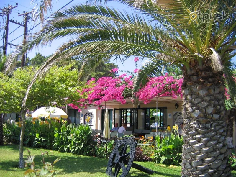 Фото отеля Tara Beach Hotel 3* о. Кефалонія Греція екстер'єр та басейни