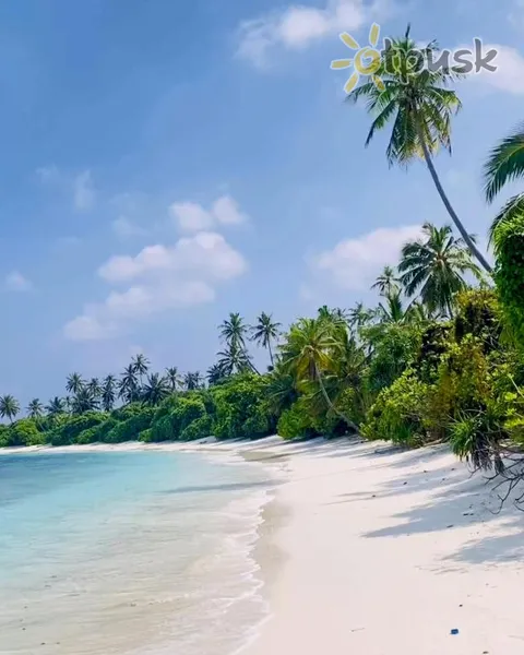 Фото отеля Stay Mikado 4* Thaa atols Maldīvija pludmale