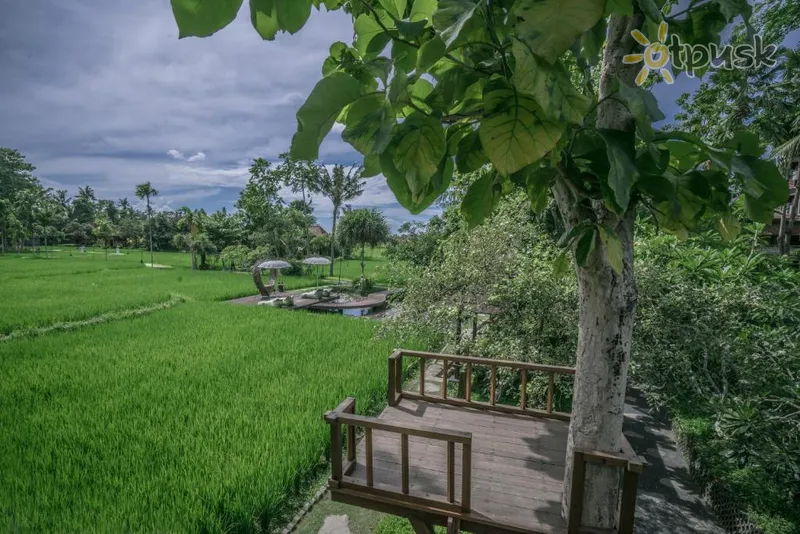 Фото отеля Kajane Yangloni 4* Ubuda (Bali) Indonēzija ārpuse un baseini