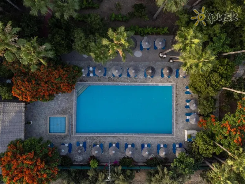 Фото отеля Veronica 3* Пафос Кіпр екстер'єр та басейни
