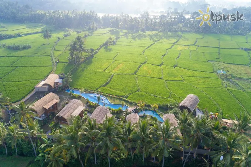 Фото отеля Beehouse Dijiwa Ubud 4* Убуд (о. Бали) Индонезия экстерьер и бассейны