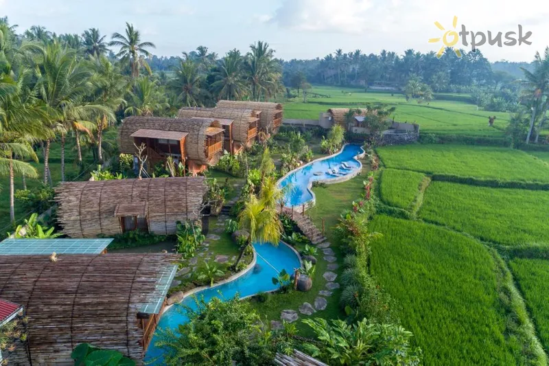Фото отеля Beehouse Dijiwa Ubud 4* Ubudas (Balis) Indonezija išorė ir baseinai