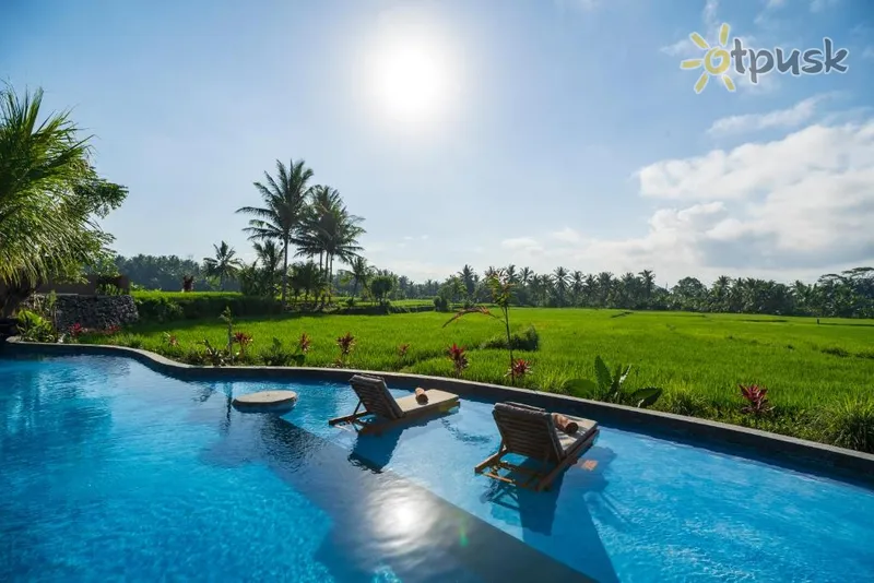 Фото отеля Beehouse Dijiwa Ubud 4* Убуд (о. Балі) Індонезія екстер'єр та басейни