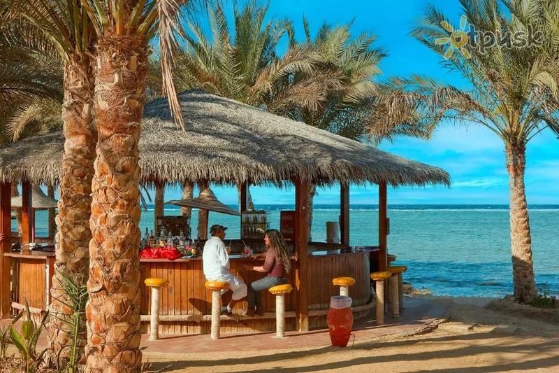 Фото отеля Albatros Villaggio Resort Portofino Marsa Alam 5* Marsa Alamas Egiptas barai ir restoranai