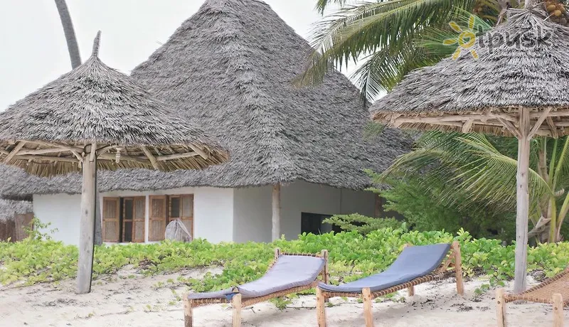 Фото отеля Oasis Beach Inn 3* Jambiani Tanzānija ārpuse un baseini