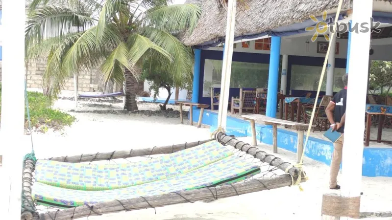 Фото отеля Oasis Beach Inn 3* Джамбиани Танзания экстерьер и бассейны