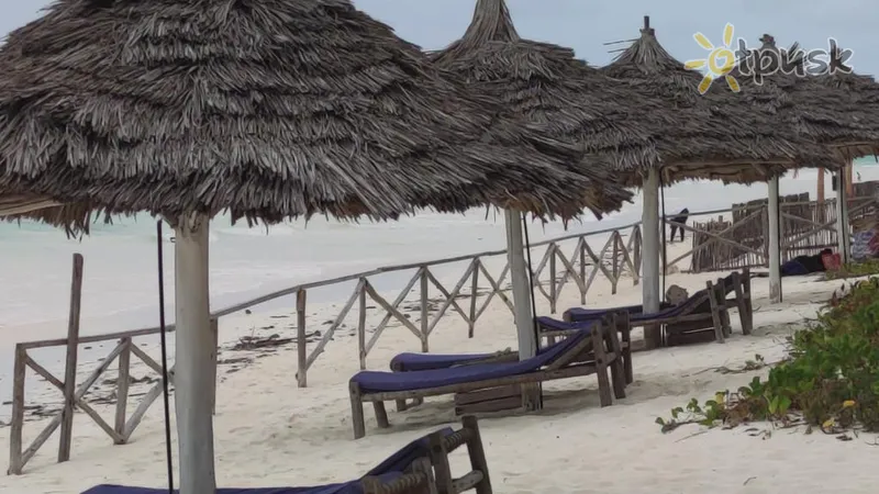 Фото отеля Oasis Beach Inn 3* Джамбиани Танзания пляж
