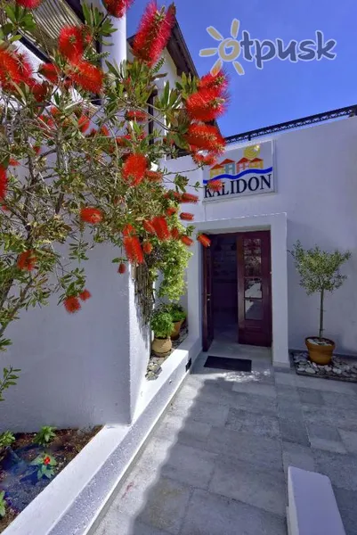 Фото отеля Kalidon Beach Hotel 2* о. Самос Греция экстерьер и бассейны