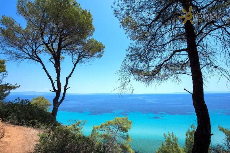 Фото отеля Elies 33 Bio Retreat 4* Халкидики – Кассандра Греция пляж