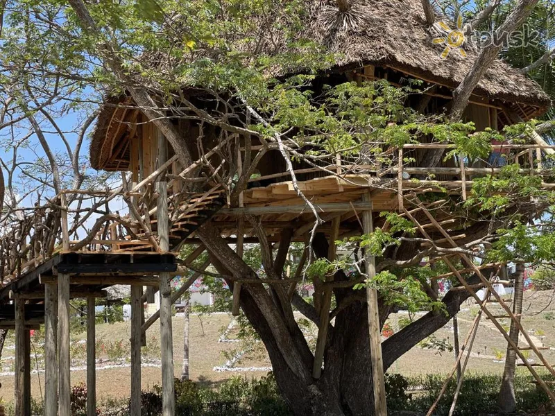 Фото отеля Antonio Beach Tree House Hotel & Spa 4* Chwaka Tanzānija bērniem