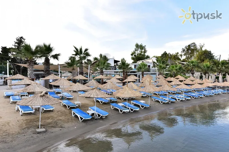 Фото отеля Coconut Beach Hotel 4* Бодрум Туреччина пляж